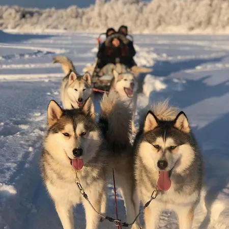 Scandinavian Home Rovaniemi Eksteriør billede