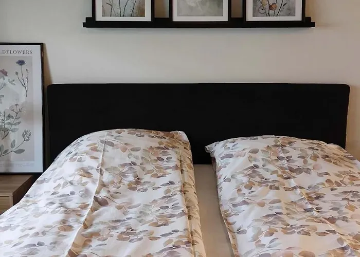 Scandinavian Home