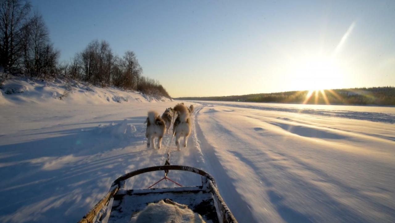 Scandinavian Rovaniemi