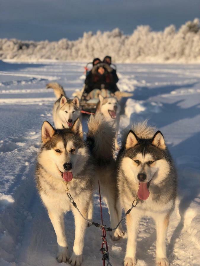 Scandinavian *